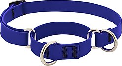 LupinePet Waterproof BioThane Martingale Dog Collar, True Blue, Medium: 14 to 20-in