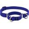 Show in main carousel: LupinePet Waterproof BioThane Martingale Dog Collar, True Blue, Medium: 14 to 20-in slide 1 of 6