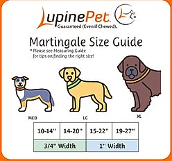LupinePet Martingale Dog Collar, Sand Shark, Large: 15 to 22-in slide 2 of 6