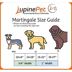 LupinePet Martingale Dog Collar, Rose Garden, Large: 15 to 22-in