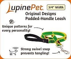 LupinePet Padded Handle Dog Leash, Crazy Daisy, Regular: 6-ft long, 3/4-in wide slide 2 of 6