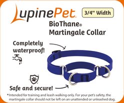 LupinePet Waterproof BioThane Martingale Dog Collar, Jet Black, Medium: 14 to 20-in slide 2 of 6
