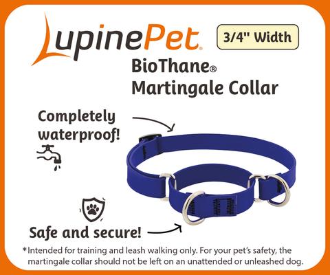 Show full view: LupinePet Waterproof BioThane Martingale Dog Collar, Jet Black, Medium: 14 to 20-in slide 2 of 6