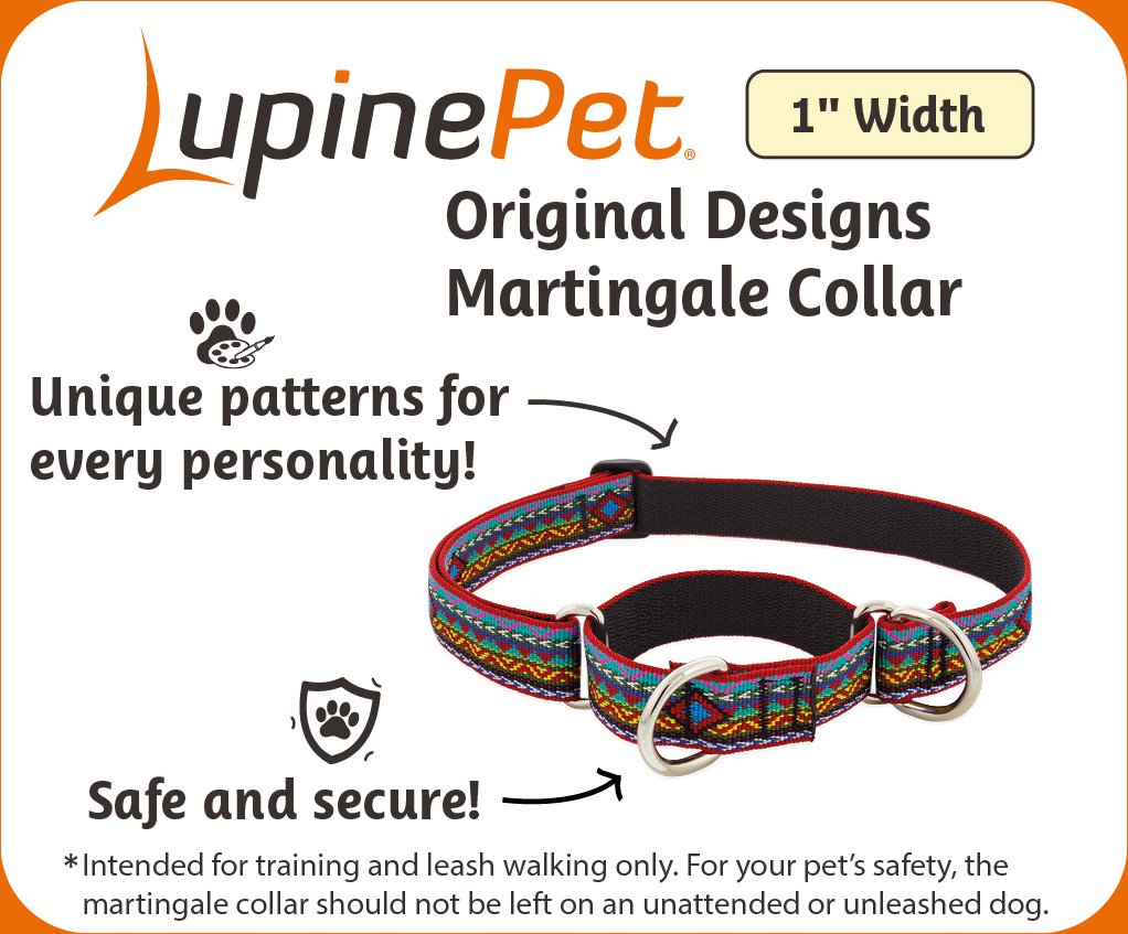 LupinePet Alpen Glow Dog Collar