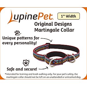 LupinePet Martingale Dog Collar, Rose Garden, Large: 15 to 22-in