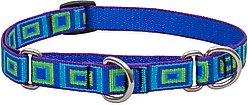 LupinePet Martingale Dog Collar, Sea Glass, Medium: 14 to 20-in