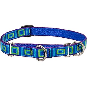 LupinePet Martingale Dog Collar, Sea Glass, Medium: 14 to 20-in