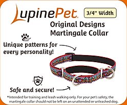 LupinePet Martingale Dog Collar, Rose Garden, Small: 10 to 14-in slide 2 of 6