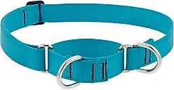 LupinePet Basic Solid Martingale Dog Collar, Aqua, Large: 15 to 22-in