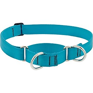 LupinePet Basic Solid Martingale Dog Collar, Aqua, Large: 15 to 22-in