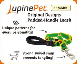 LupinePet Padded Handle Dog Leash, Sand Shark, Short: 2-ft long, 1-in wide slide 2 of 6
