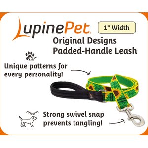 LupinePet Padded Handle Dog Leash, Rose Garden, Regular: 6-ft long, 1-in wide