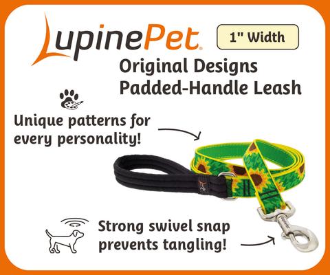 Show full view: LupinePet Padded Handle Dog Leash, Jelly Roll, Regular: 6-ft long, 1-in wide slide 3 of 6