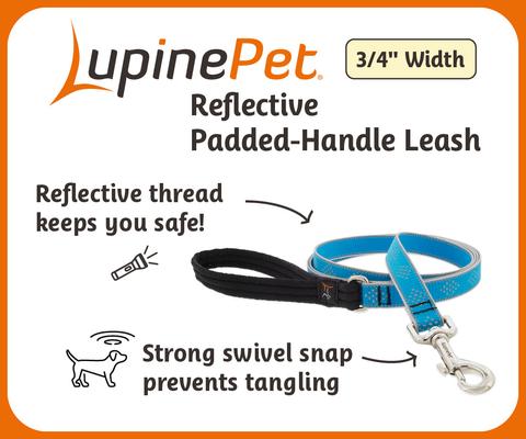 Show full view: LupinePet Reflective Diamonds Padded Handle Dog Leash, Orange Diamond, Regular: 4-ft long, 3/4-in wide slide 4 of 8