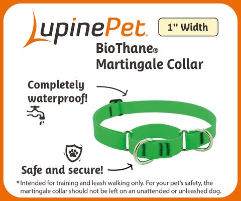 Show full view: LupinePet Waterproof BioThane Martingale Dog Collar, Neon Pink, Large: 15 to 22-in slide 2 of 6