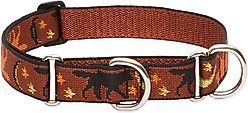 LupinePet Martingale Dog Collar, Shadow Hunter, X-Large: 19 to 27-in