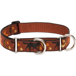 LupinePet Martingale Dog Collar, Shadow Hunter, Large: 15 to 22-in