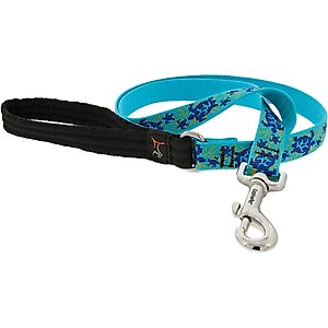 LupinePet Padded Handle Dog Leash, Turtle Reef, Regular: 6-ft long, 3/4-in wide