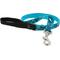 Show in main carousel: LupinePet Padded Handle Dog Leash, Turtle Reef, Regular: 6-ft long, 3/4-in wide slide 1 of 7