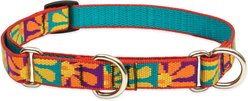 LupinePet Martingale Dog Collar, Crazy Daisy, Medium: 14 to 20-in