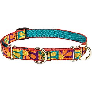 LupinePet Martingale Dog Collar, Crazy Daisy, Medium: 14 to 20-in