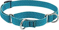 LupinePet ECO Recycled Martingale Dog Collar, Tropical Sea, Small: 10 to 14-in