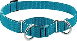 LupinePet ECO Recycled Martingale Dog Collar, Tropical Sea, X-Large: 19 to 27-in
