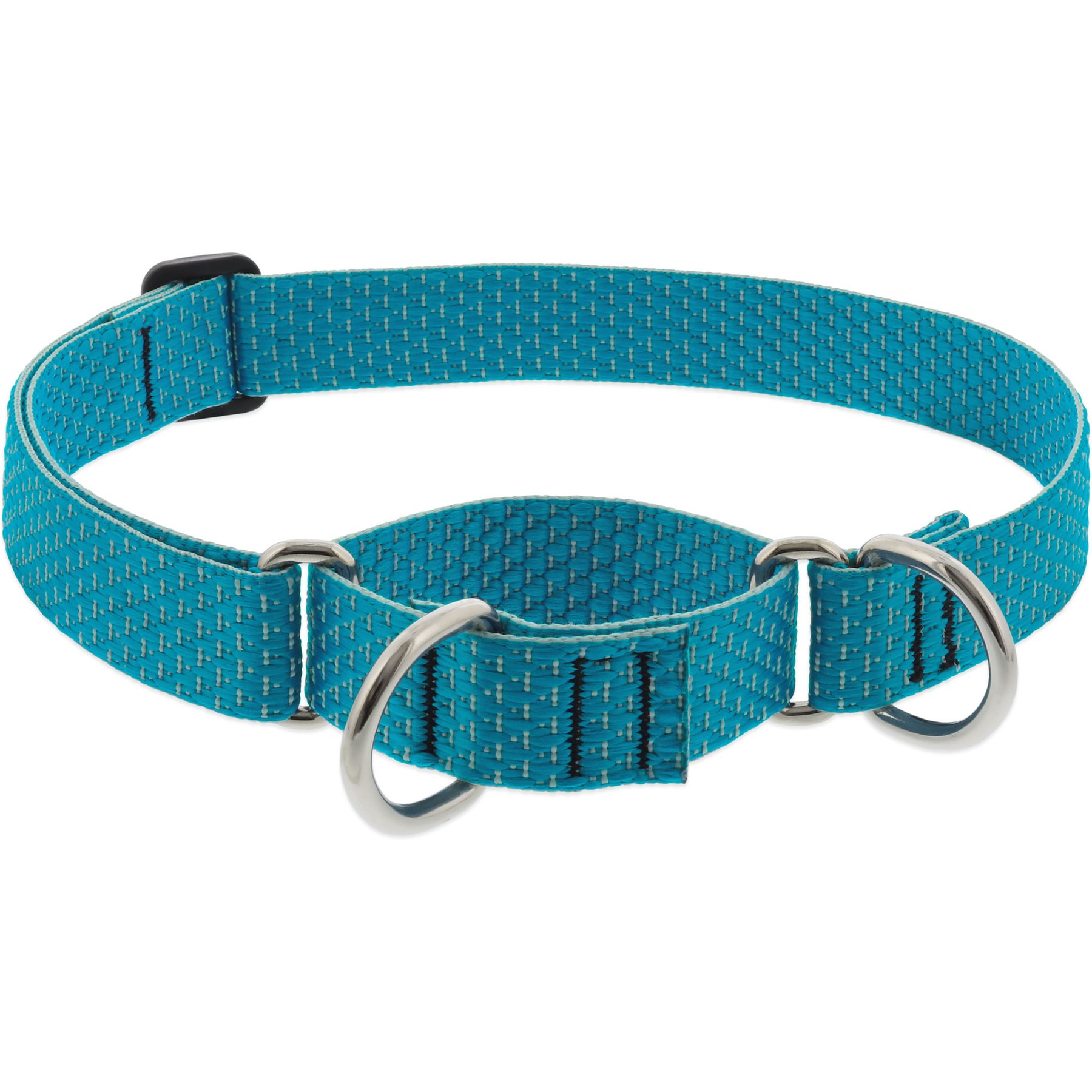 LupinePet ECO Recycled Martingale Dog Collar, Tropical Sea, X-Large: 19 to 27-in