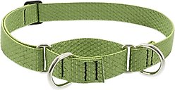 LupinePet ECO Recycled Martingale Dog Collar, Moss, Large: 15 to 22-in