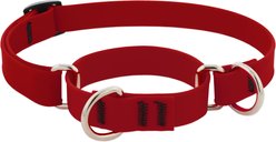 LupinePet Waterproof BioThane Martingale Dog Collar, Brick Red, Small: 10 to 14-in slide 1 of 6