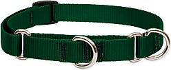 LupinePet Basic Solid Martingale Dog Collar, Green, Small: 10 to 14-in slide 1 of 6