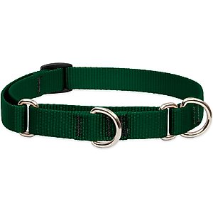 LupinePet Basic Solid Martingale Dog Collar, Green, Small: 10 to 14-in