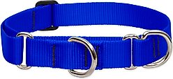 LupinePet Basic Solid Martingale Dog Collar, Blue, Large: 15 to 22-in