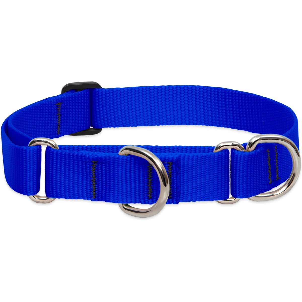 LupinePet Basic Solid Martingale Dog Collar, Blue, Large: 15 to 22-in
