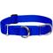 Show in main carousel: LupinePet Basic Solid Martingale Dog Collar, Blue, Large: 15 to 22-in slide 1 of 7