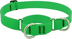 LupinePet Waterproof BioThane Martingale Dog Collar, Neon Green, Large: 15 to 22-in