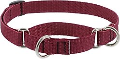 LupinePet ECO Recycled Martingale Dog Collar, Berry, Medium: 14 to 20-in