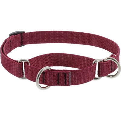 LupinePet LupinePet ECO Recycled Martingale Dog Collar, Berry, Small: 10 to 14-in