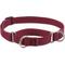 Show in main carousel: LupinePet ECO Recycled Martingale Dog Collar, Berry, Medium: 14 to 20-in slide 1 of 6