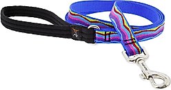 LupinePet Padded Handle Dog Leash, Ripple Creek, Regular: 6-ft long, 3/4-in wide