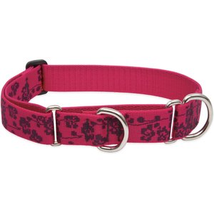 LupinePet Martingale Dog Collar, Plum Blossom, Large: 15 to 22-in