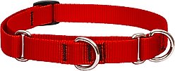 LupinePet Basic Solid Martingale Dog Collar, Red, Small: 10 to 14-in