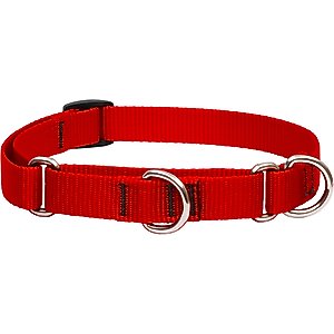 LupinePet Basic Solid Martingale Dog Collar, Red, Small: 10 to 14-in