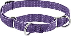 LupinePet ECO Recycled Martingale Dog Collar, Lilac, Small: 10 to 14-in