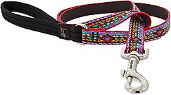 LupinePet Padded Handle Dog Leash, El Paso, Regular: 6-ft long, 3/4-in wide
