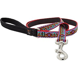 LupinePet Padded Handle Dog Leash, El Paso, Regular: 4-ft long, 3/4-in wide