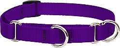 LupinePet Basic Solid Martingale Dog Collar, Purple, Medium: 14 to 20-in
