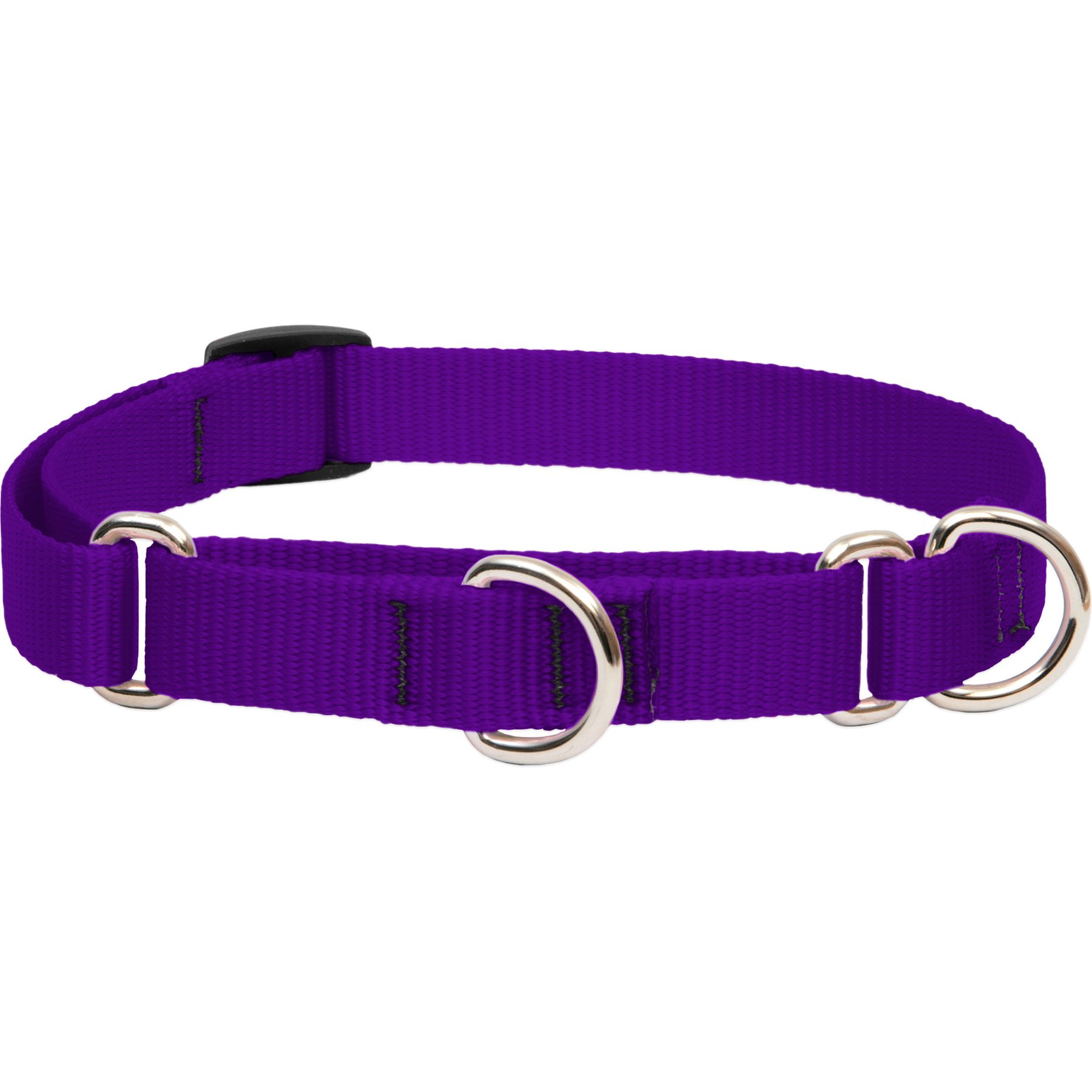 LupinePet Basic Solid Martingale Dog Collar, Purple, Medium: 14 to 20-in