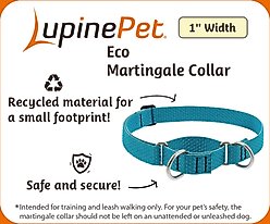 LupinePet ECO Recycled Martingale Dog Collar, Berry, X-Large: 19 to 27-in slide 2 of 6