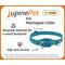 Show in main carousel: LupinePet ECO Recycled Martingale Dog Collar, Lilac, X-Large: 19 to 27-in slide 2 of 6
